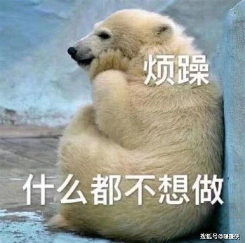 最靓的吃瓜群众图片,揭秘娱乐圈幕后风云