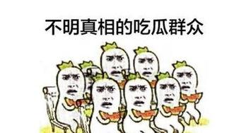 唠嗑吃瓜群众怎么回复他,如何应对“唠嗑吃瓜群众”的互动挑战