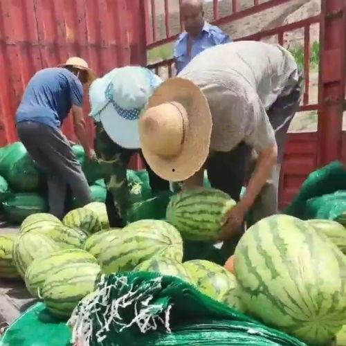 盐城吃瓜群众,揭秘当地独特美食文化