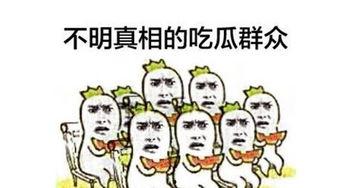 宫辰吃瓜群众,吃瓜群众的视角，揭秘宫廷秘闻